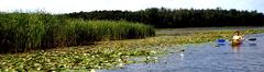 60 Ferien an der Müritz